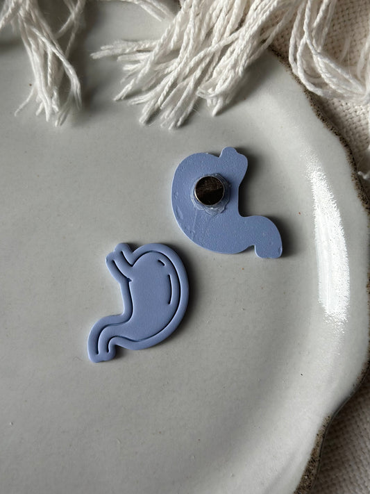 Stomach Cancer Awareness Magnet