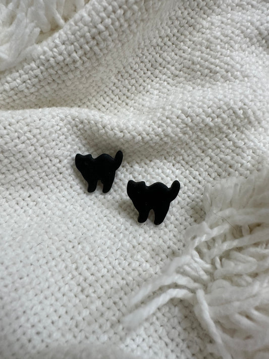 Spooked Cat Studs