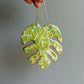 Large Monstera Leaf Ornament