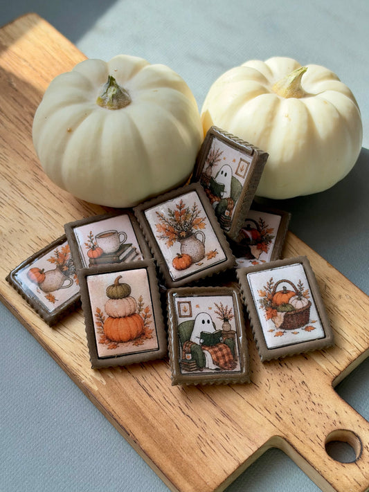 Mystery Postage Stamp Magnet