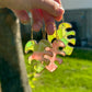 Mini Monstera Leaf Ornament