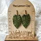 Shimmering Monstera Leaves