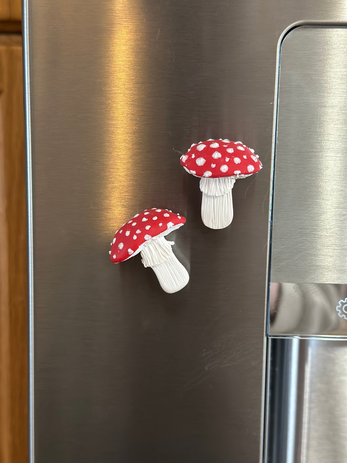 Mushroom Magnets