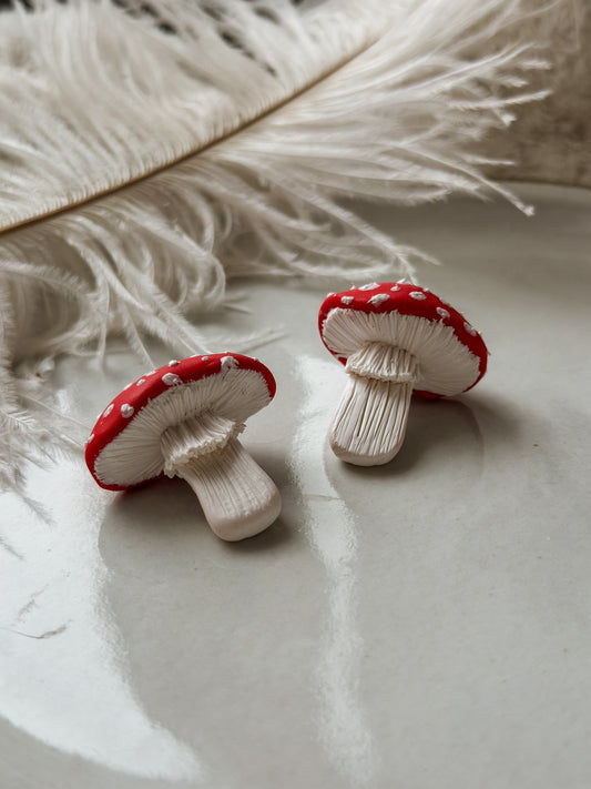 Mushroom Magnets